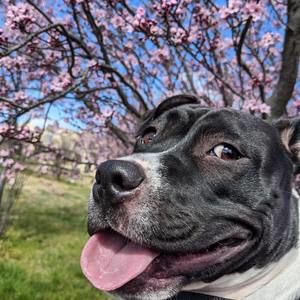 Meet your Posher, Tina